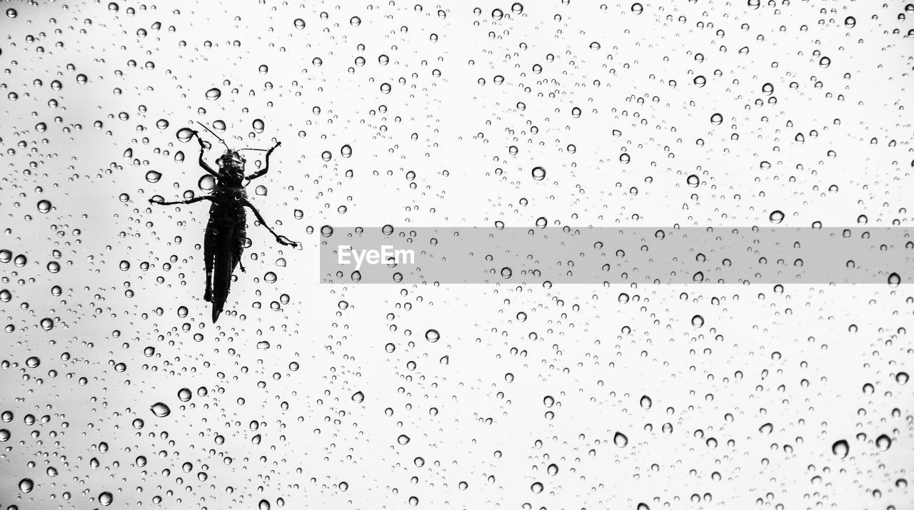 WATER DROPS ON GLASS AGAINST WINDOW AGAINST SKY