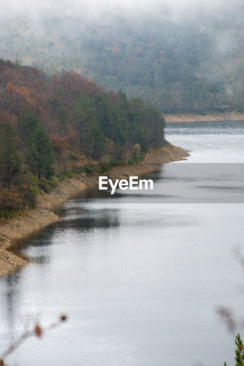 Scenic view of river in forest against sky