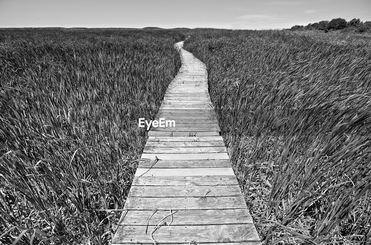 View of wooden boardwalk on field against sky