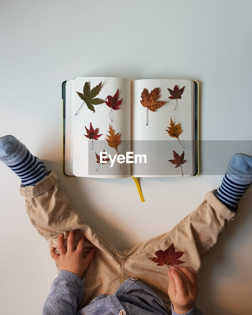 Low section of boy with autumn leaves on book