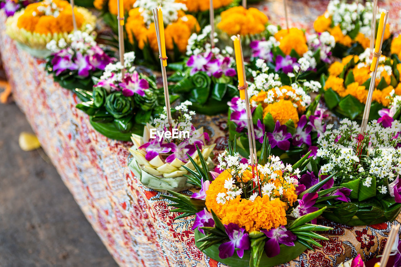 HIGH ANGLE VIEW OF PURPLE FLOWERING PLANT