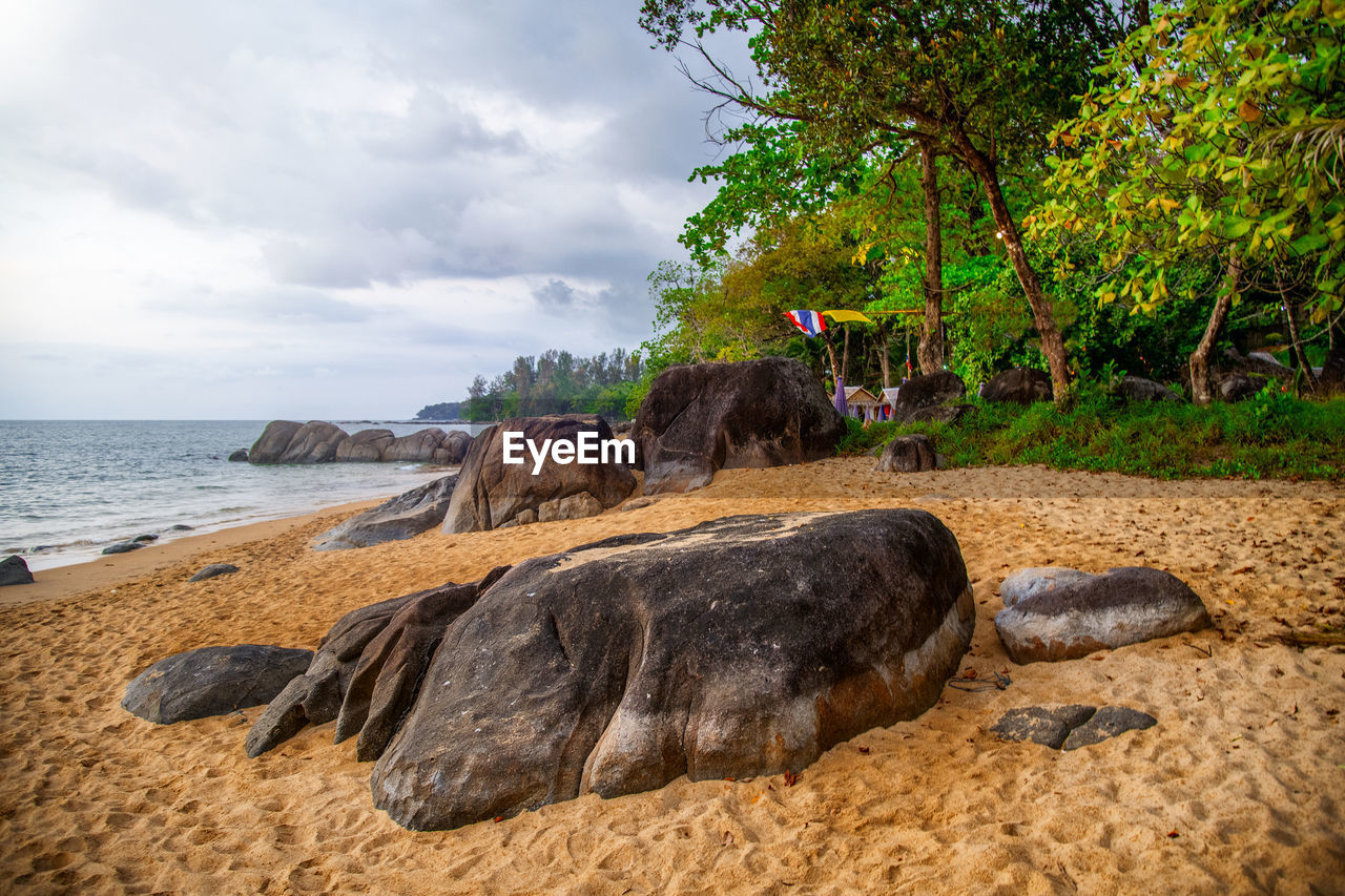 VIEW OF CRAB ON BEACH