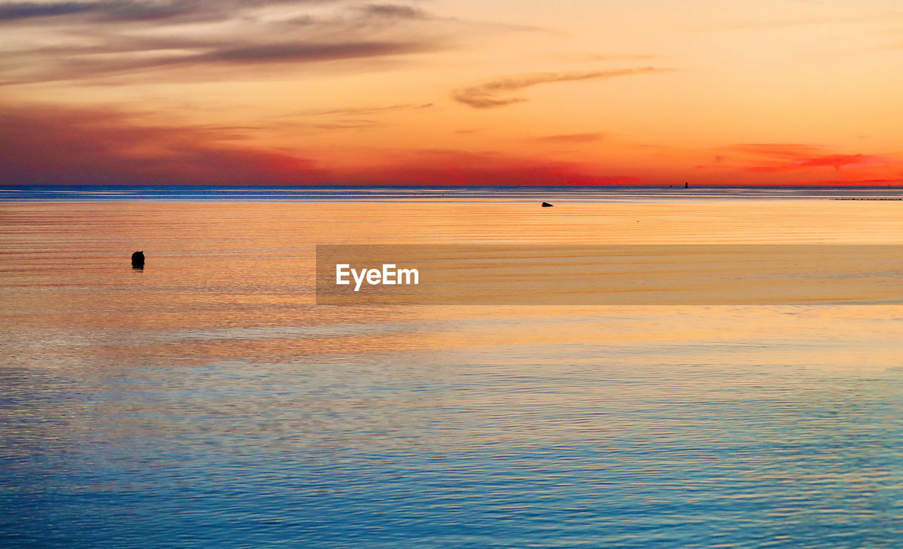 water, sky, sea, sunset, scenics - nature, beauty in nature, tranquility, horizon over water, tranquil scene, horizon, nature, orange color, cloud, land, ocean, beach, idyllic, shore, reflection, seascape, no people, dramatic sky, travel destinations, outdoors, dawn, animal, sun, travel, afterglow, waterfront, coast, sunlight, non-urban scene, vacation, body of water, trip, animal themes, environment, rippled, landscape, wave, holiday, silhouette, urban skyline, evening, tourism, nautical vessel, blue