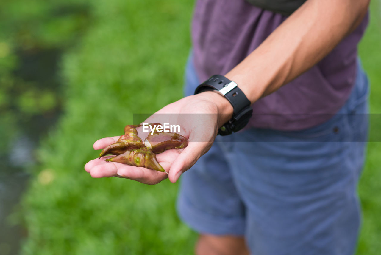 MIDSECTION OF MAN HOLDING LEAF