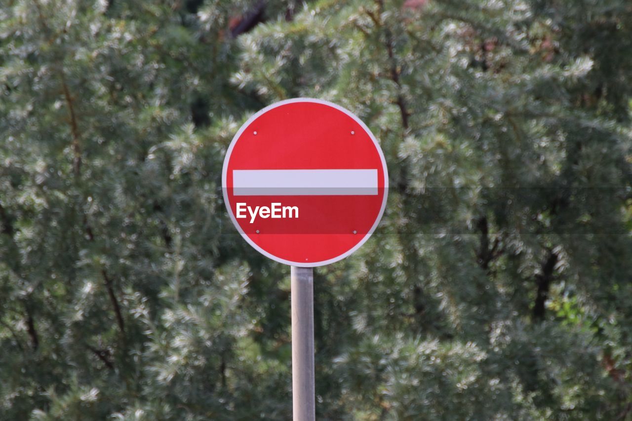 ROAD SIGN AGAINST TREES AND PLANTS