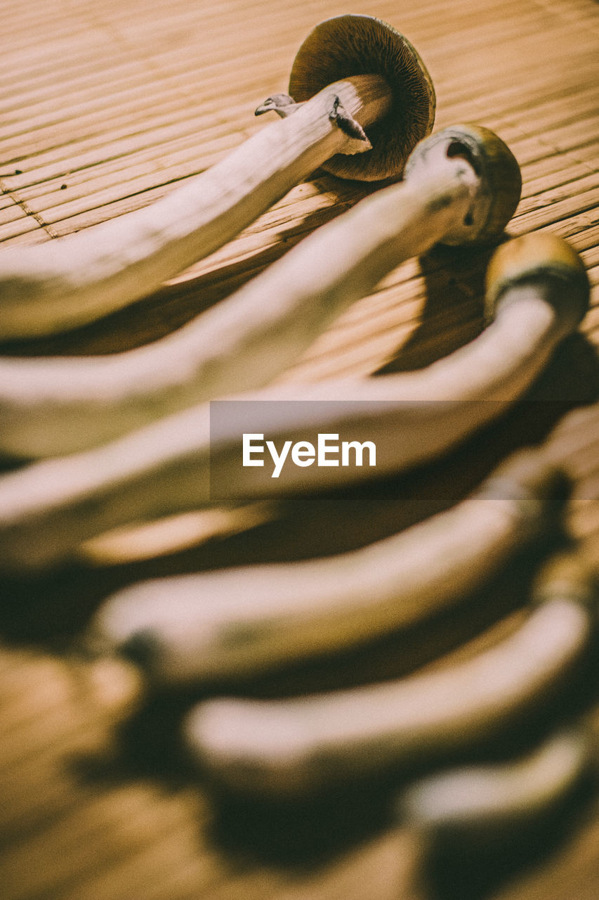 Close-up of edible mushroom on place mat