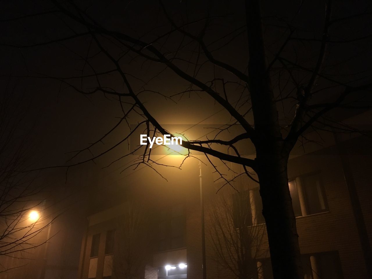 LOW ANGLE VIEW OF ILLUMINATED STREET LIGHTS AT NIGHT