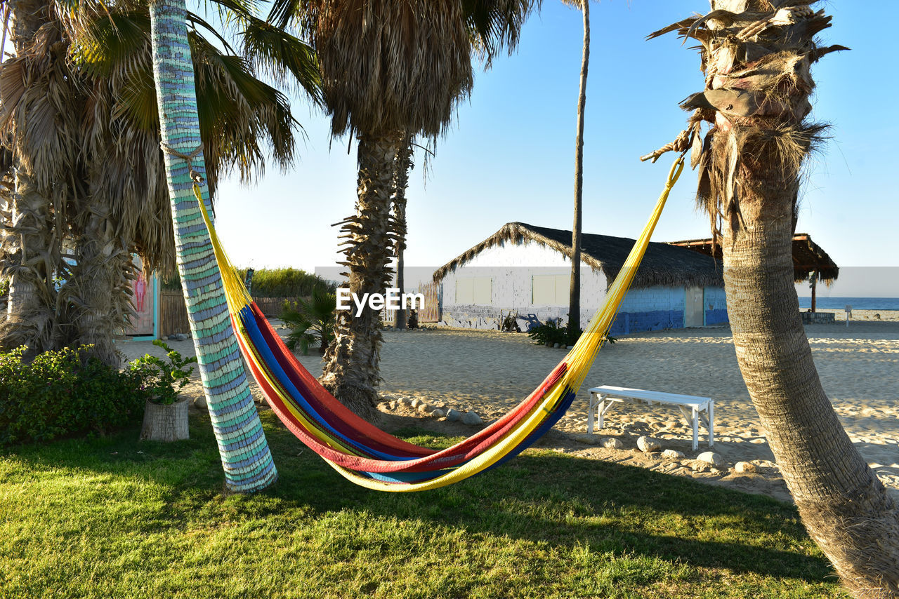 Hammock in tropical coastal beach scene in baja, mexico