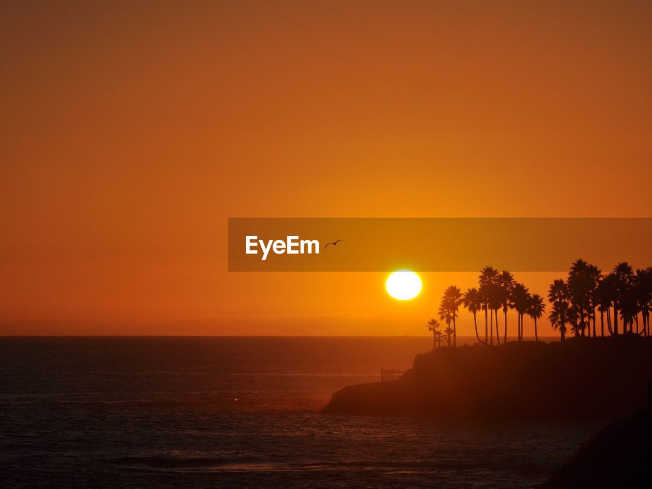 Sea by trees against orange sky during sunset