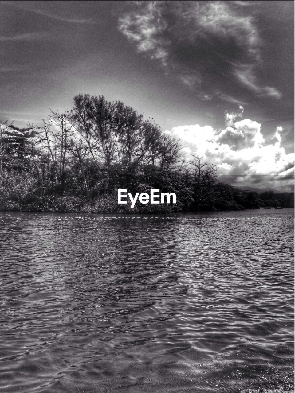 SCENIC VIEW OF TREES BY WATER AGAINST SKY