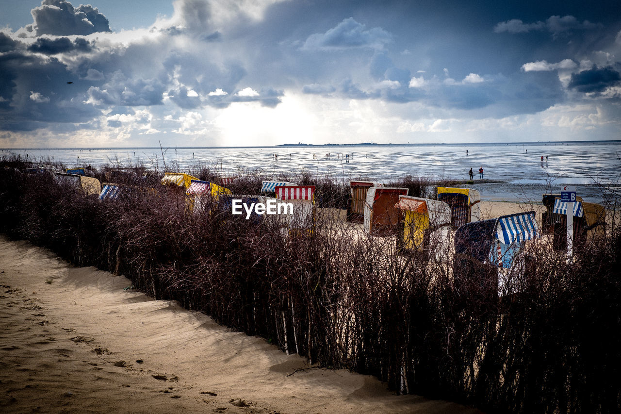 PLANTS ON BEACH AGAINST SKY