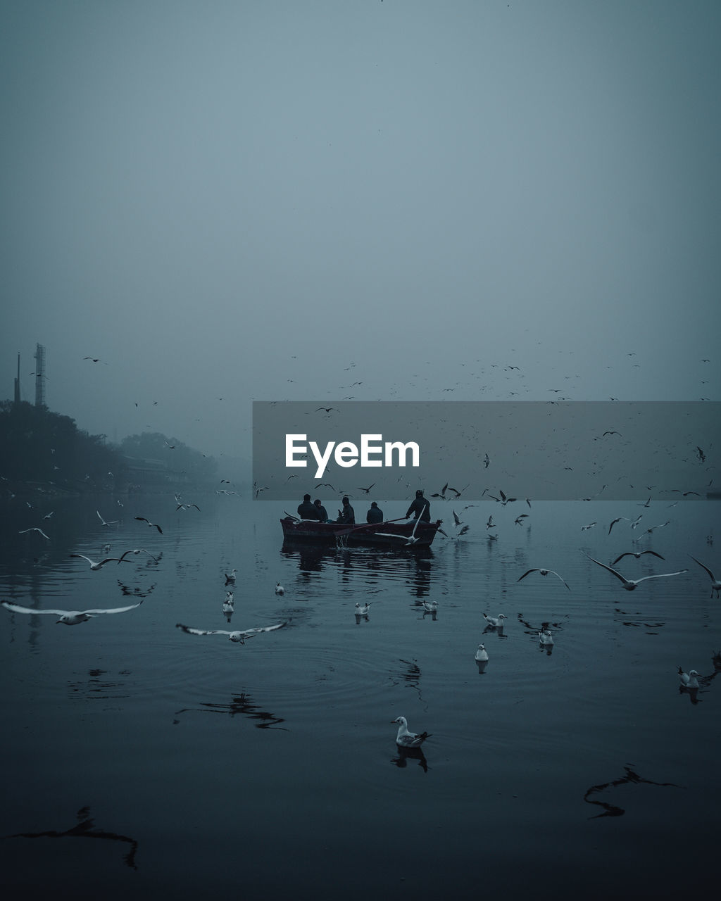 FLOCK OF BIRDS ON LAKE
