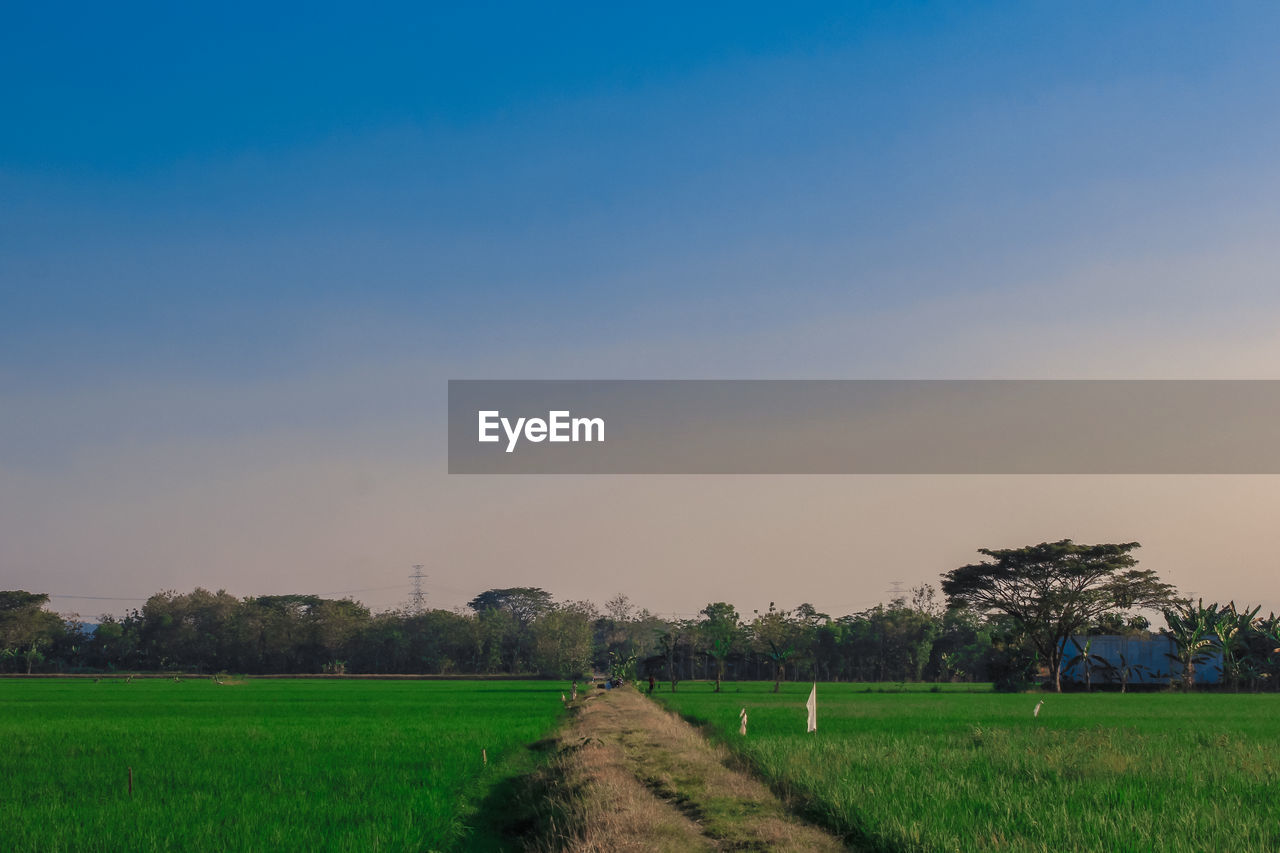 SCENIC VIEW OF LAND AGAINST SKY DURING SUNSET