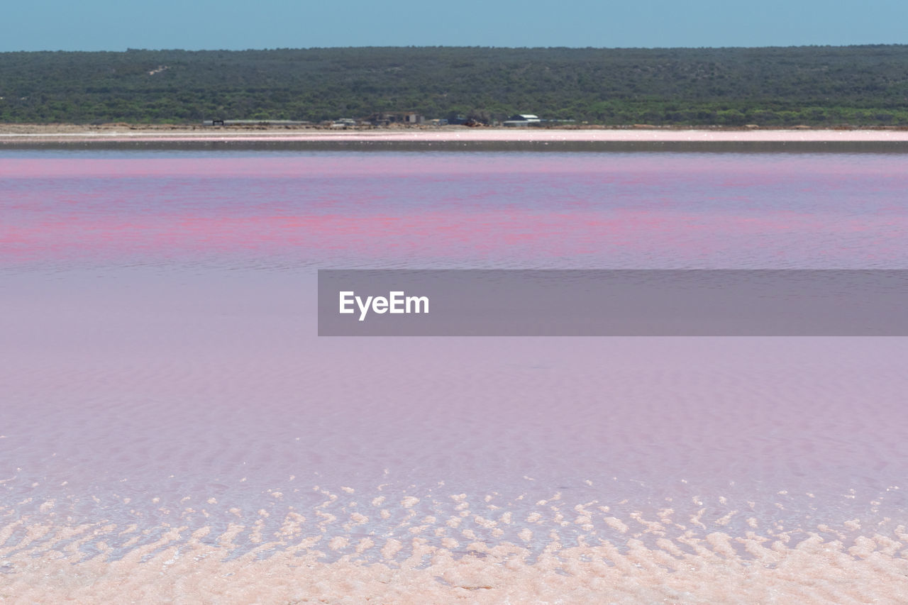 SCENIC VIEW OF SEA