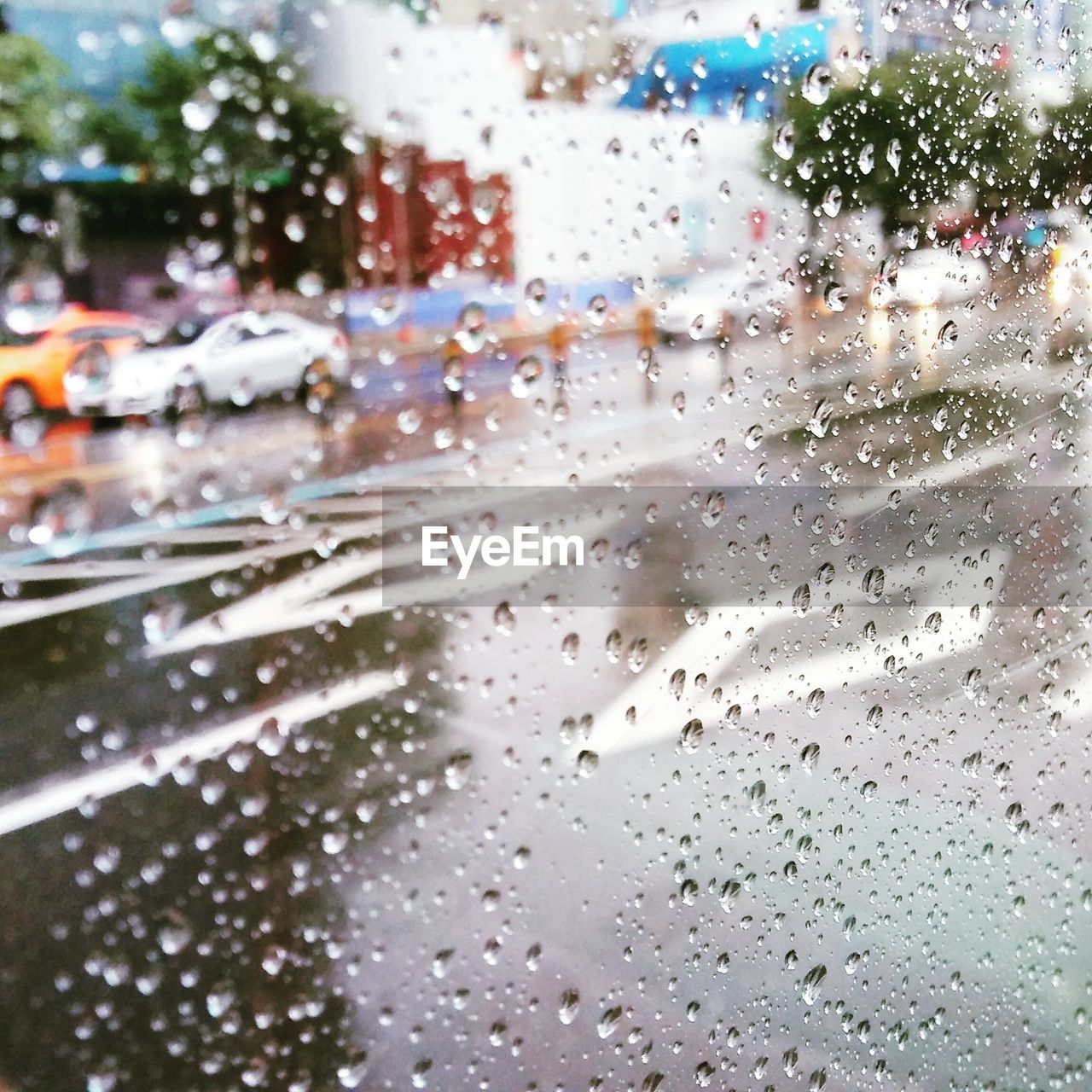 Close-up of raindrops on car window