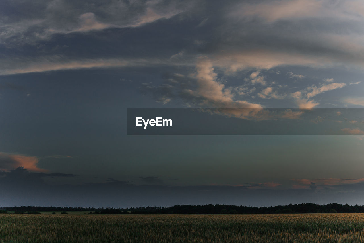 SCENIC VIEW OF AGRICULTURAL FIELD AGAINST SKY DURING SUNSET