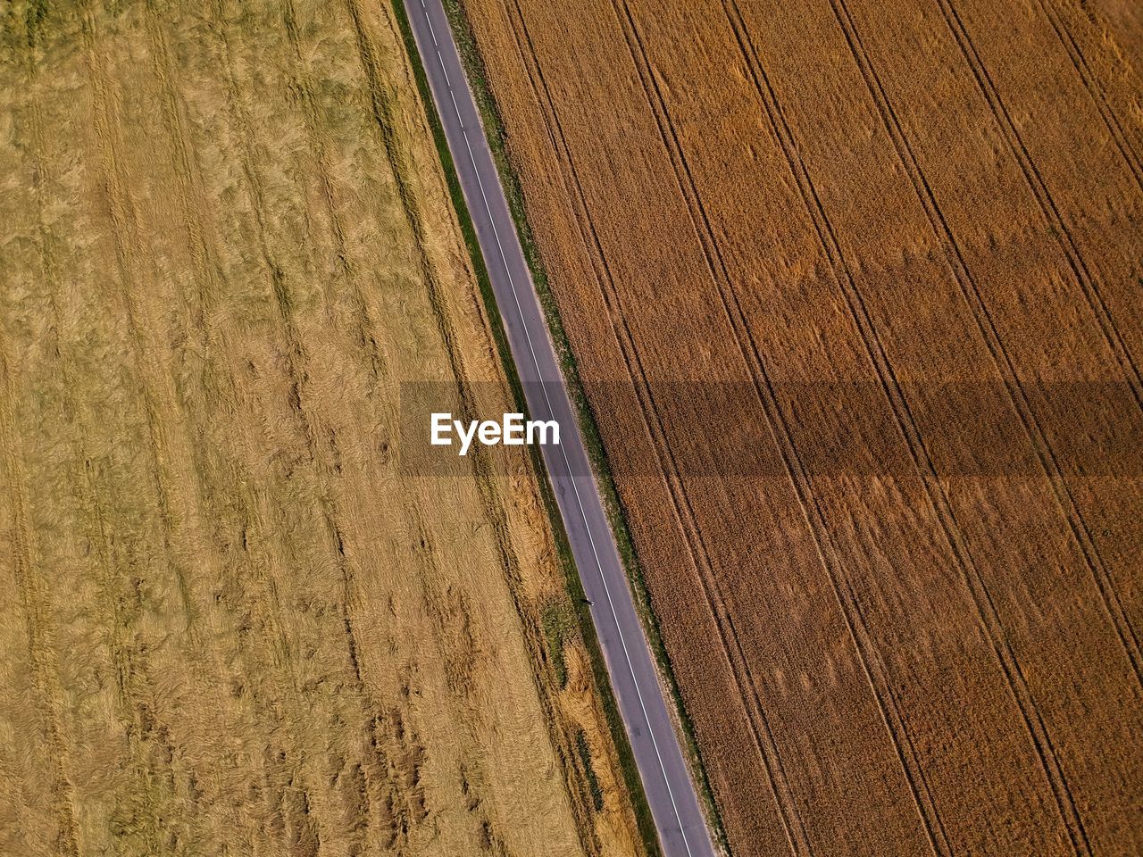 Full frame shot of agricultural field