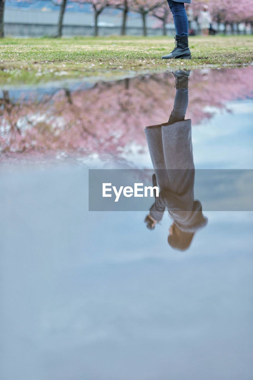 Low section of woman standing on grass by puddle with reflection