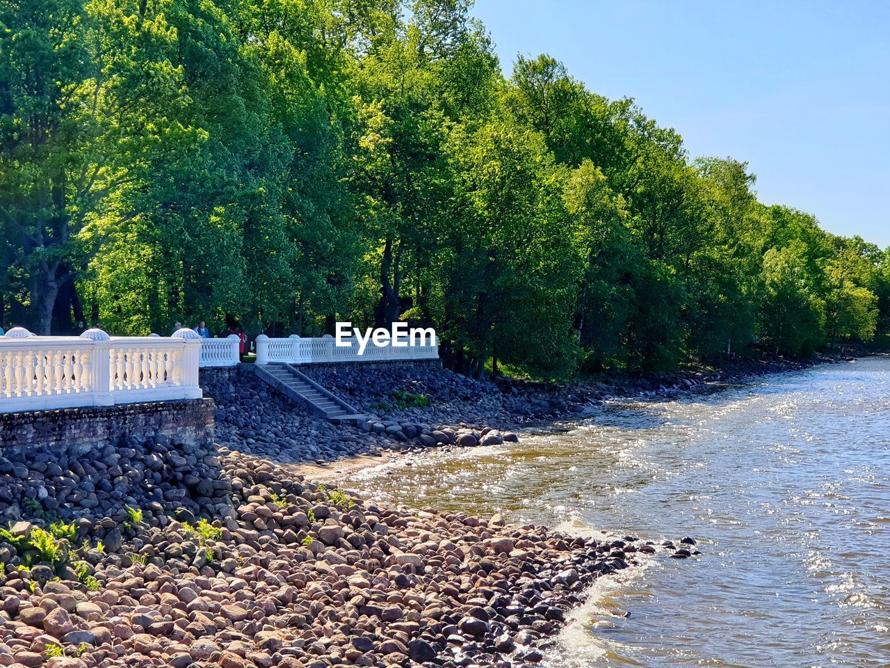 SCENIC VIEW OF RIVER AGAINST TREES