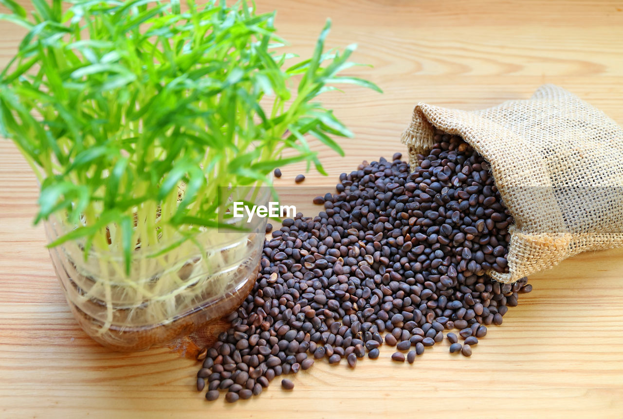 Water spinach seeds scattered onto wooden table with blurry microgreens in foreground