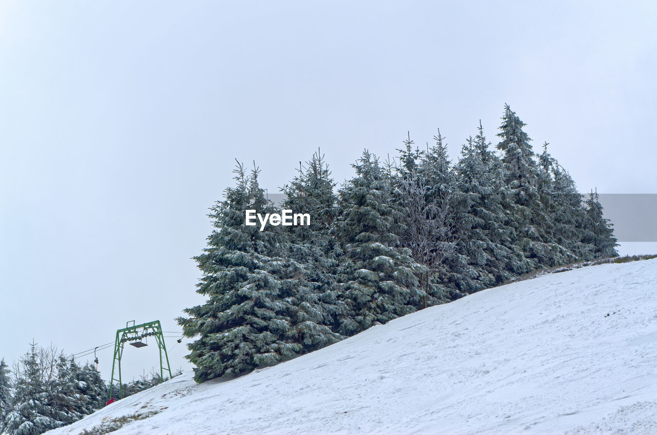 Snow covered trees on the ski piste