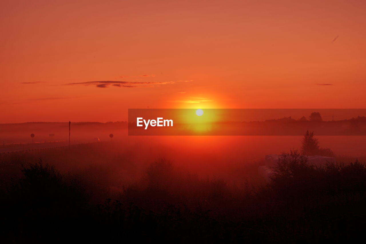 SCENIC VIEW OF SILHOUETTE TREES AGAINST ORANGE SKY