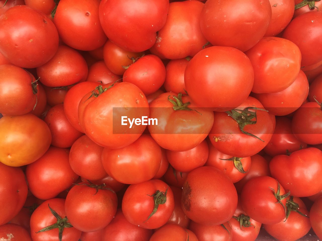 Full frame shot of tomatoes