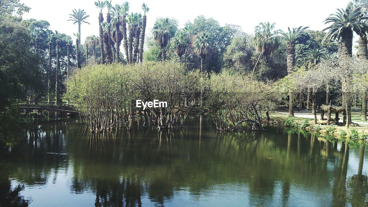 SCENIC VIEW OF LAKE AGAINST TREES