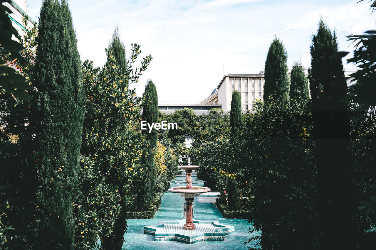 TREES AND PLANTS AGAINST BUILDING