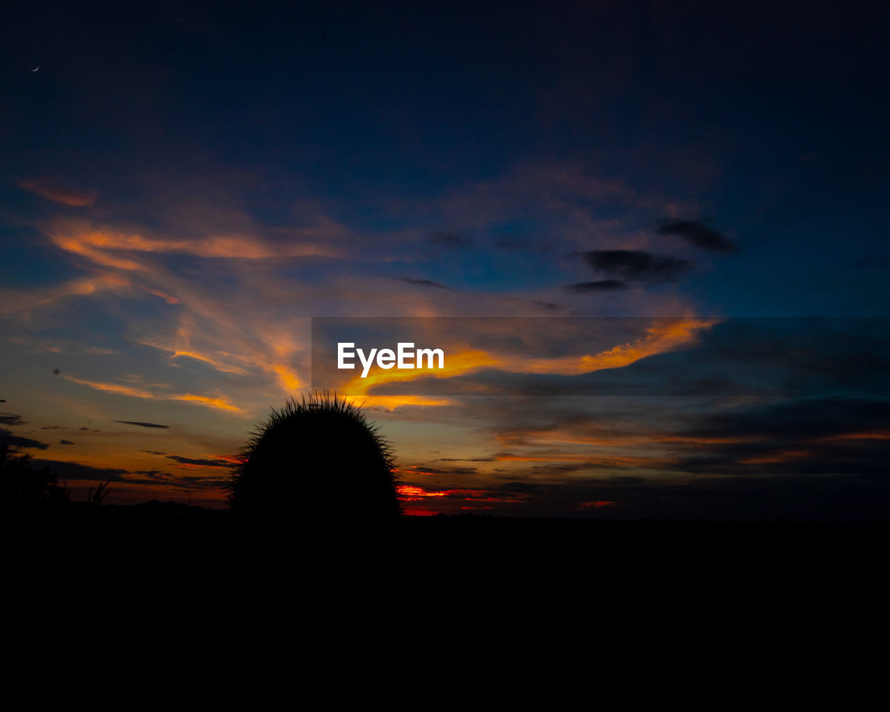 SCENIC VIEW OF DRAMATIC SKY OVER SILHOUETTE TREES