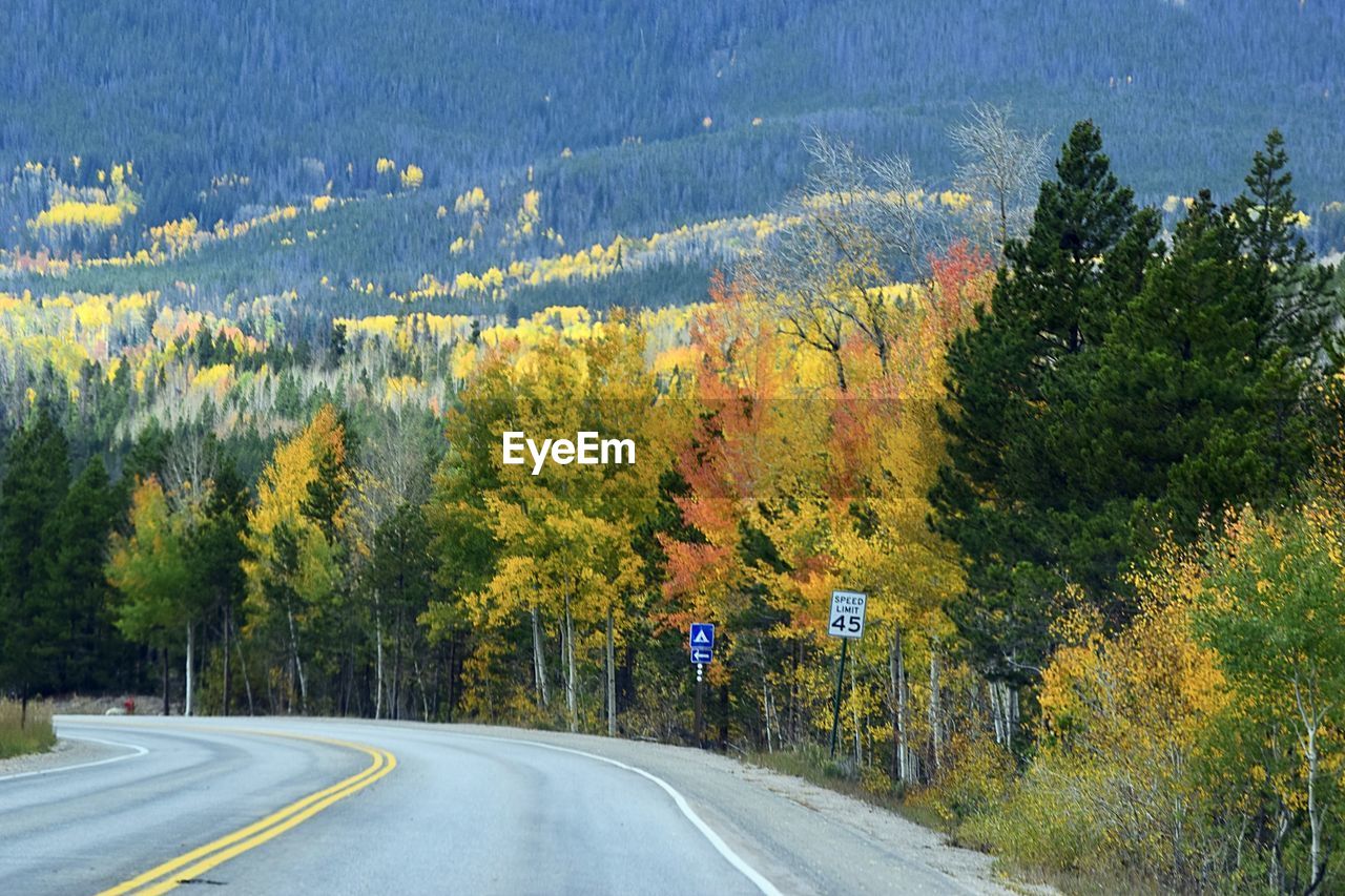 Road amidst trees and plants during autumn