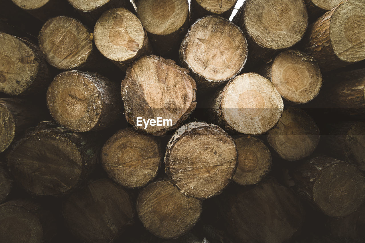 Full frame shot of logs