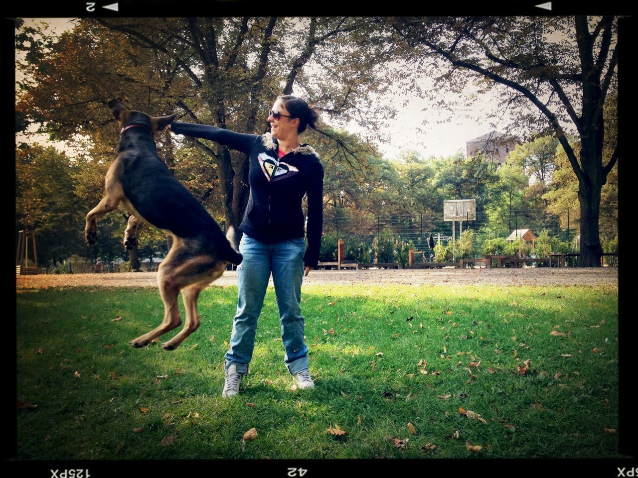 Full length of mid adult woman playing with dog in park