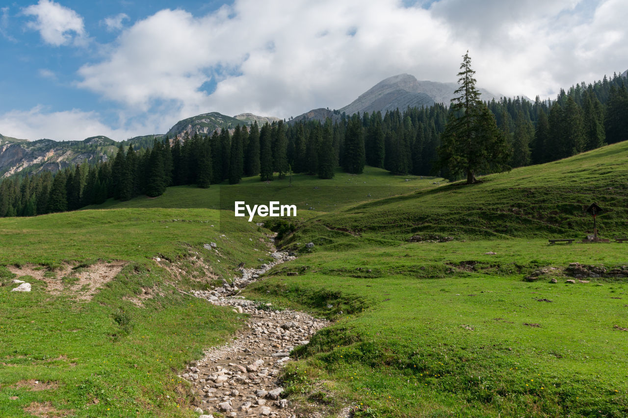 Scenic view of green landscape against sky