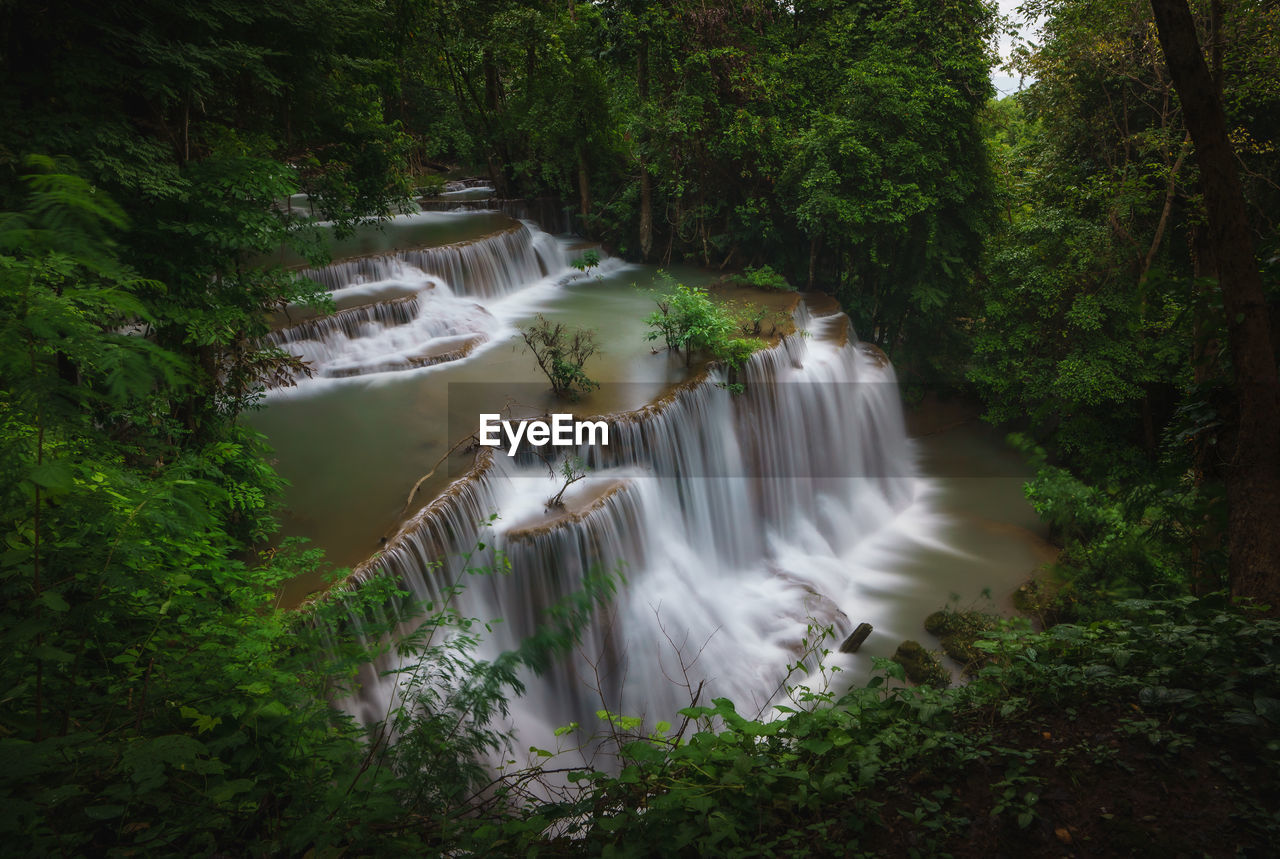 Scenic view of waterfall in forest