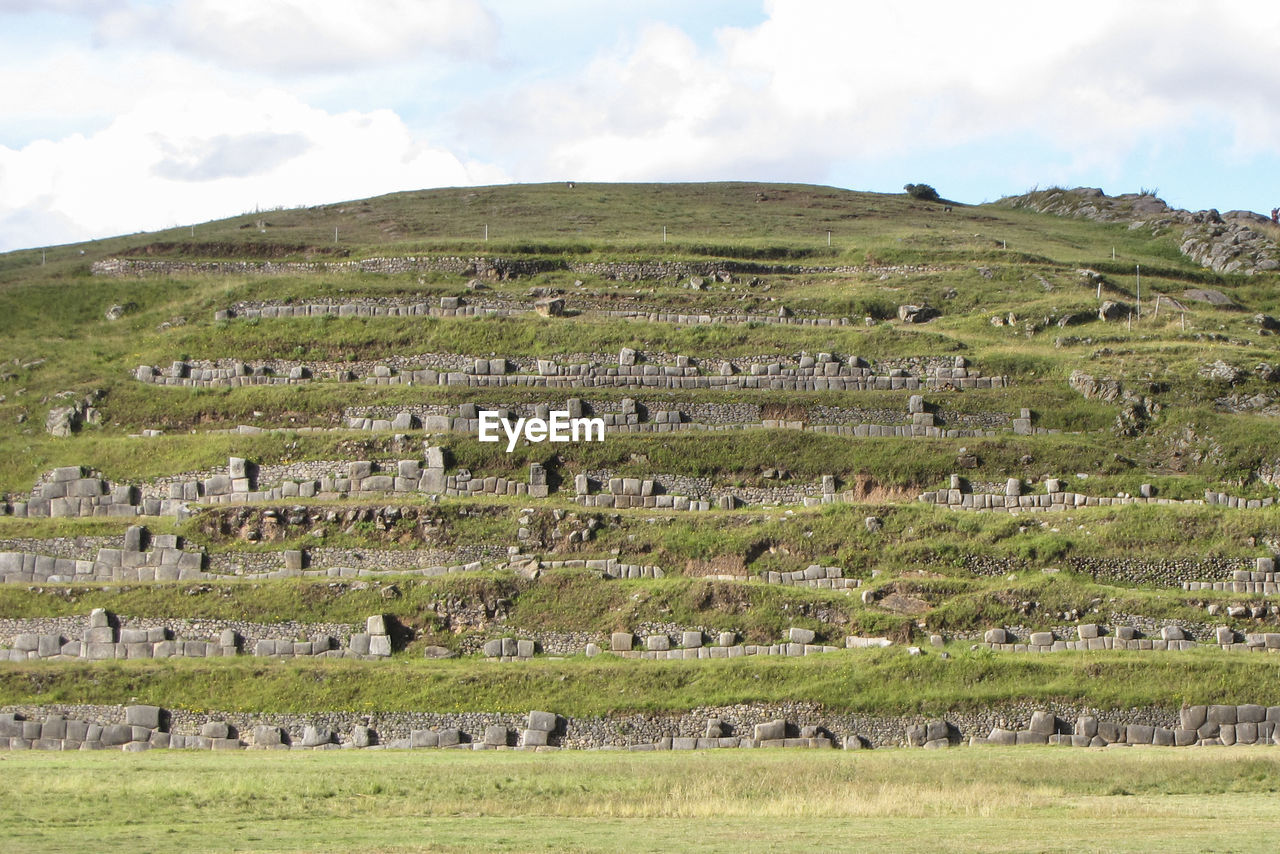 VIEW OF SHEEP GRAZING ON FIELD AGAINST SKY