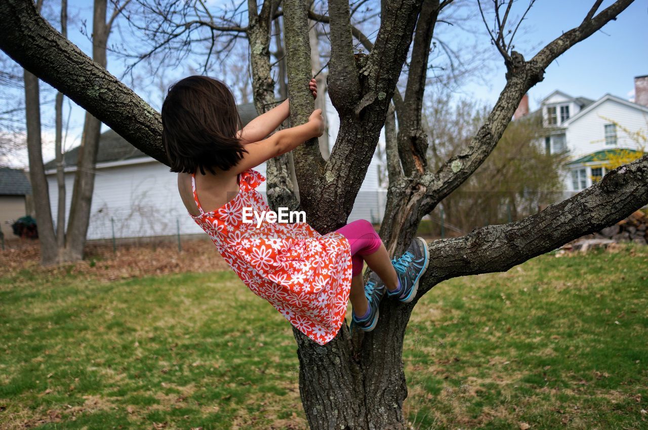 Girl climbing bare tree