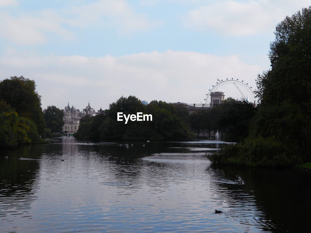 VIEW OF RIVER IN PARK