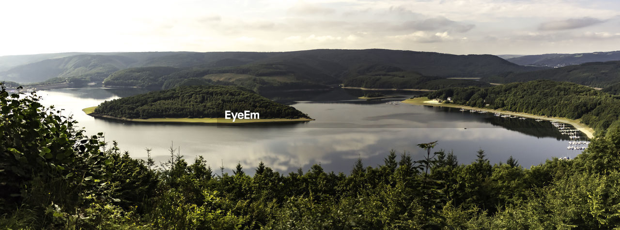 Scenic view of lake in forest