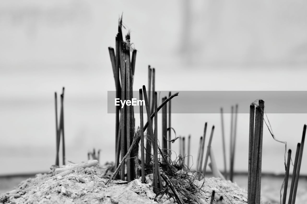 CLOSE-UP OF WOODEN POST ON BEACH AGAINST SKY