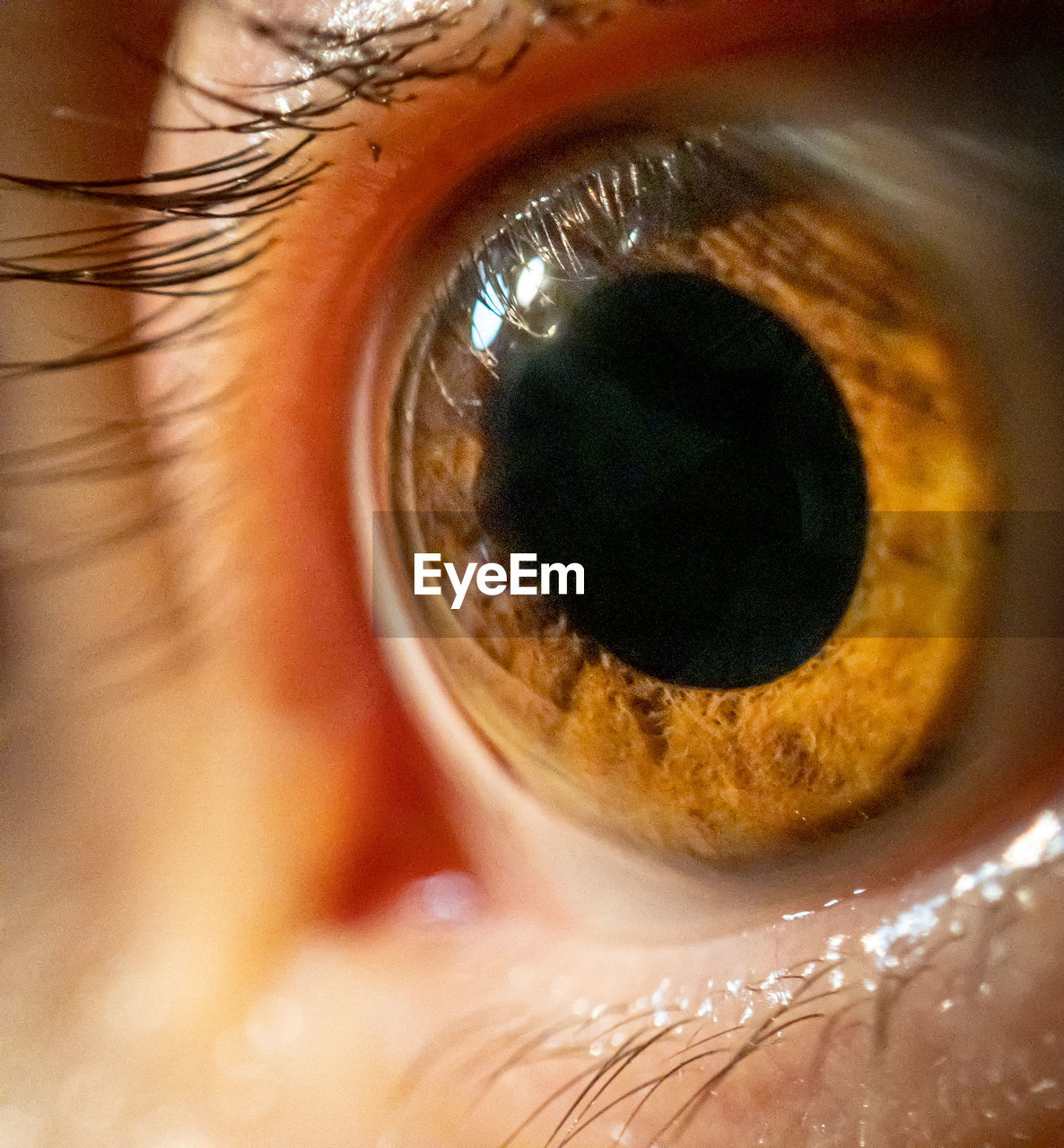 Close up of female eye, colored iris useful for ophthalmology or optometry imagery