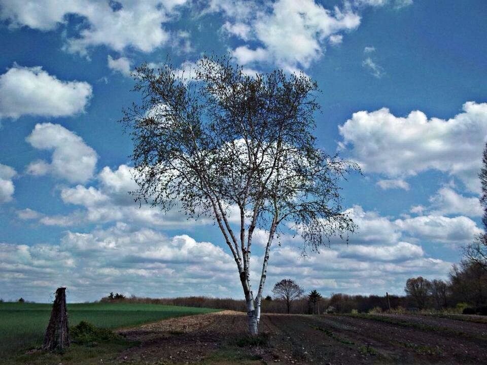 VIEW OF FIELD AGAINST CLOUDY SKY