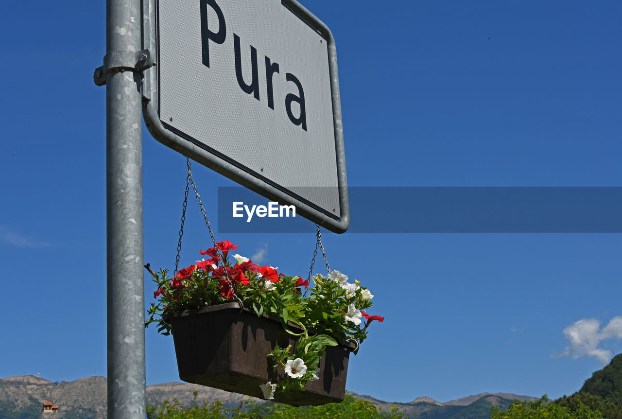 Low angle view of window box hanging on signboard against sky