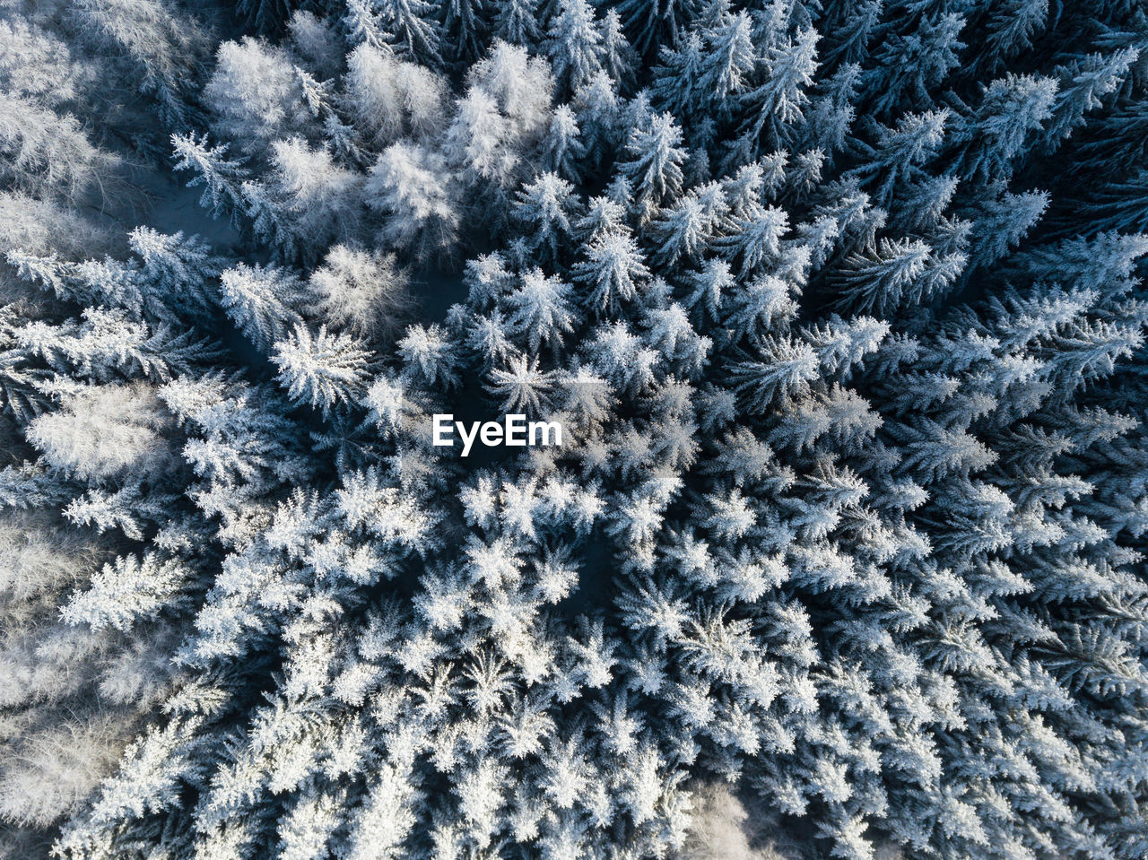 Full frame shot of snowflakes on snow