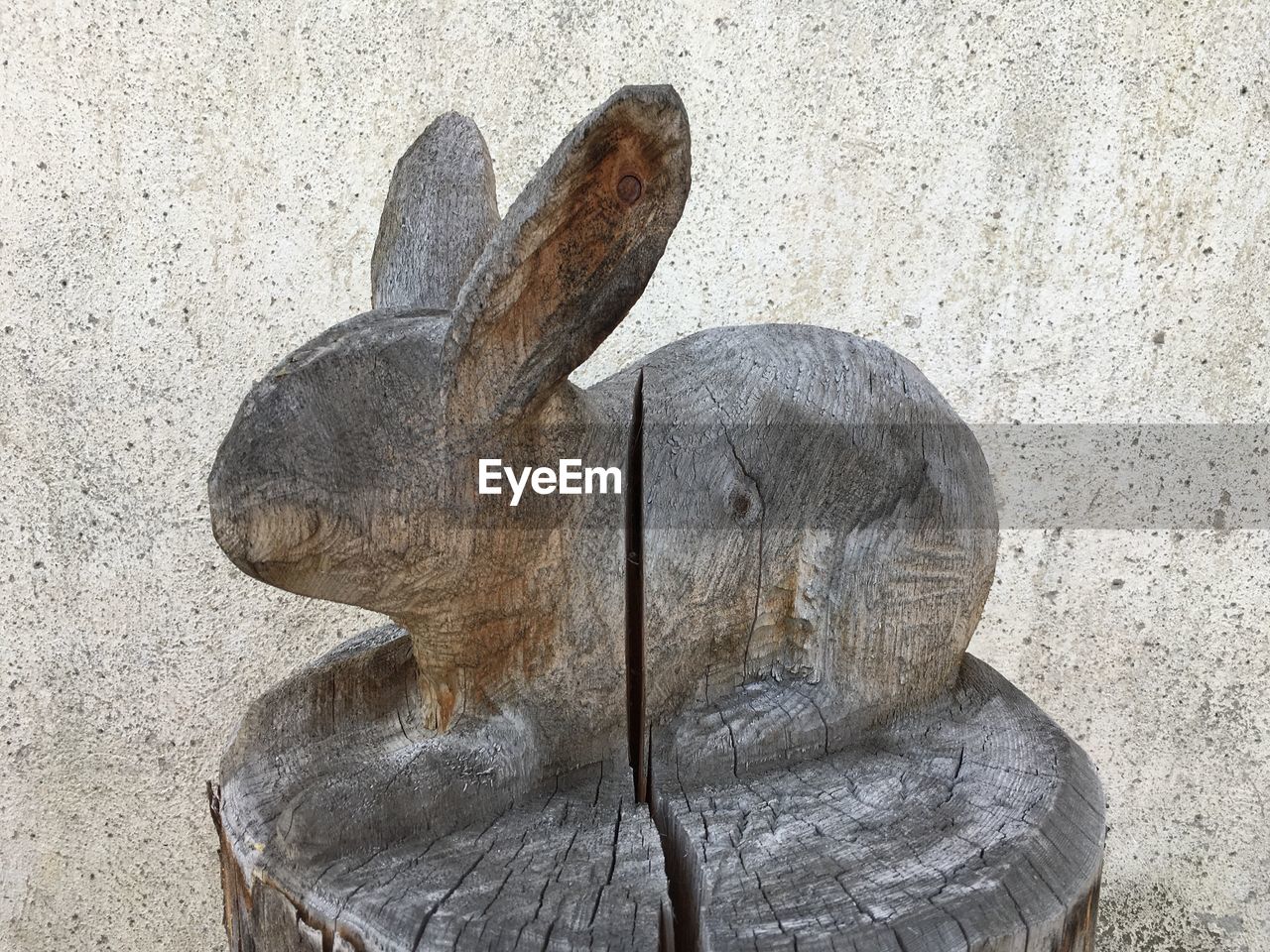 Close-up side view of rabbit representation