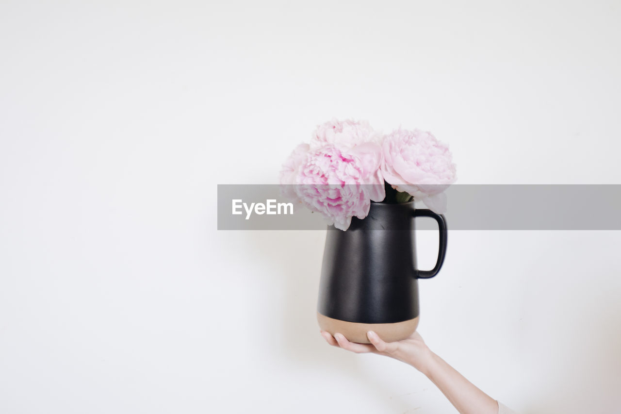 Close-up of hand holding vase against white background