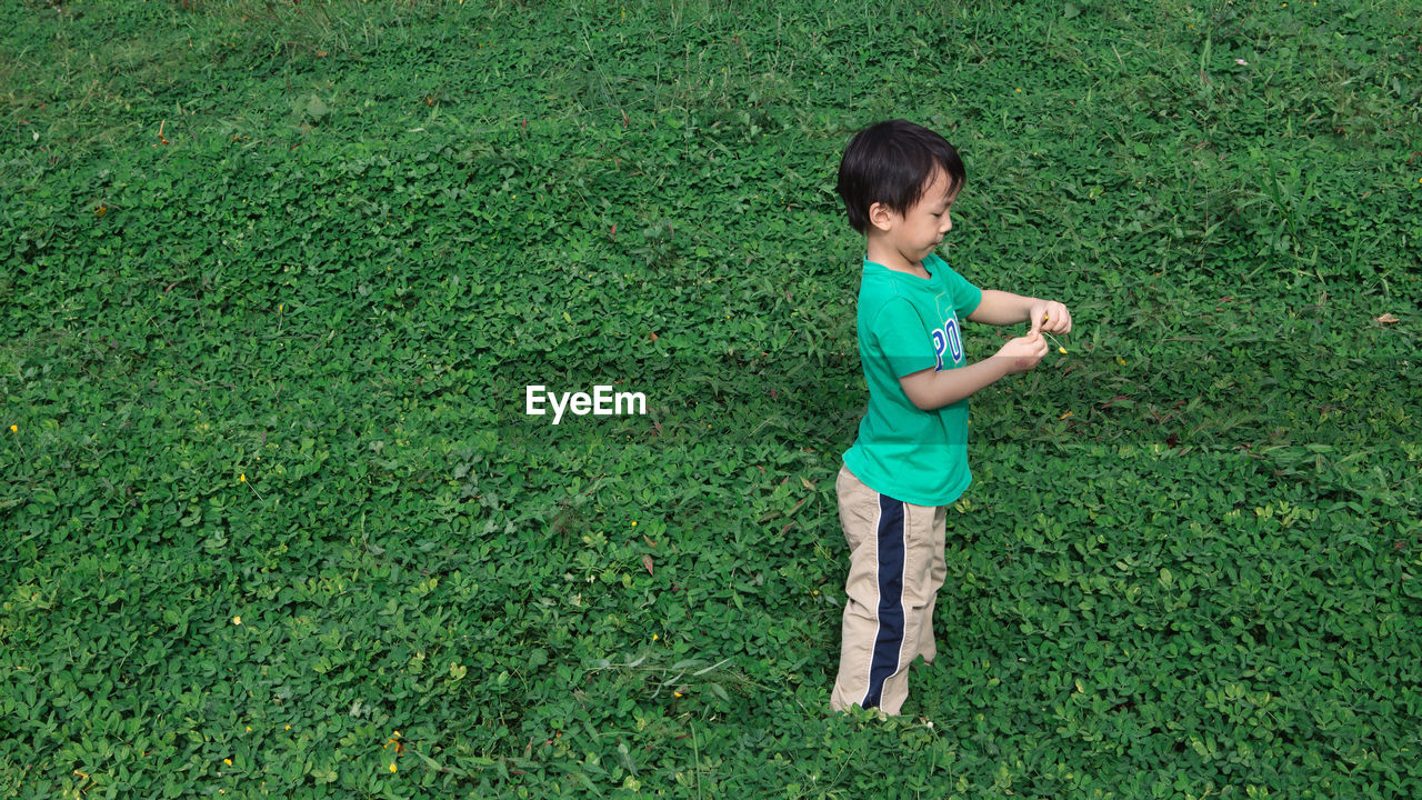 Side view of boy standing amidst plants on field at park