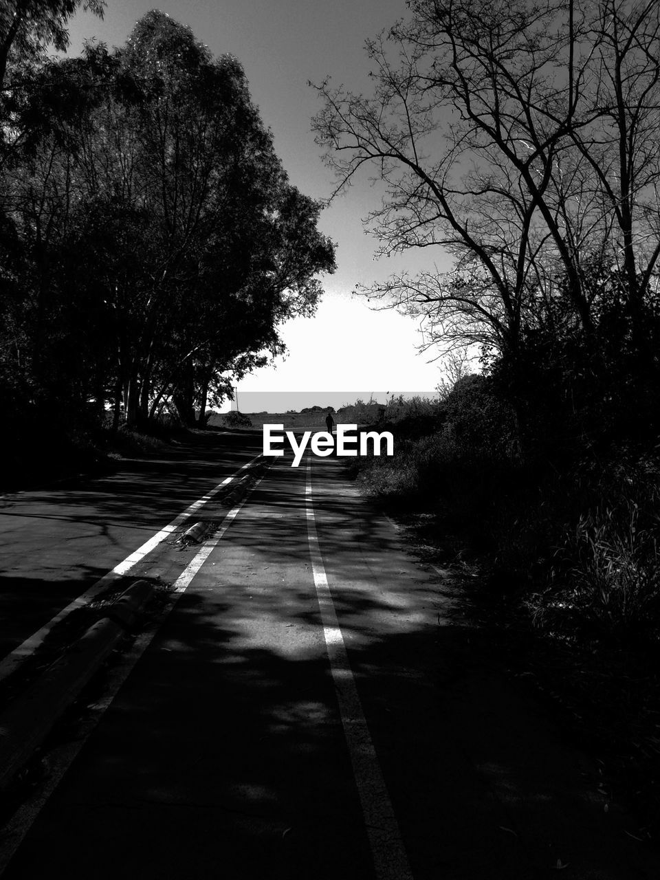 Empty road along silhouette trees