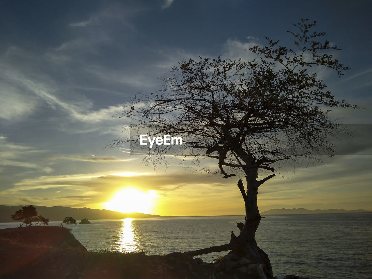 sky, water, sunset, sea, tree, beauty in nature, cloud, nature, scenics - nature, beach, land, tranquility, plant, sun, horizon over water, sunlight, tranquil scene, horizon, silhouette, dusk, idyllic, outdoors, environment, no people, evening, dramatic sky, landscape, back lit, seascape, non-urban scene, travel destinations