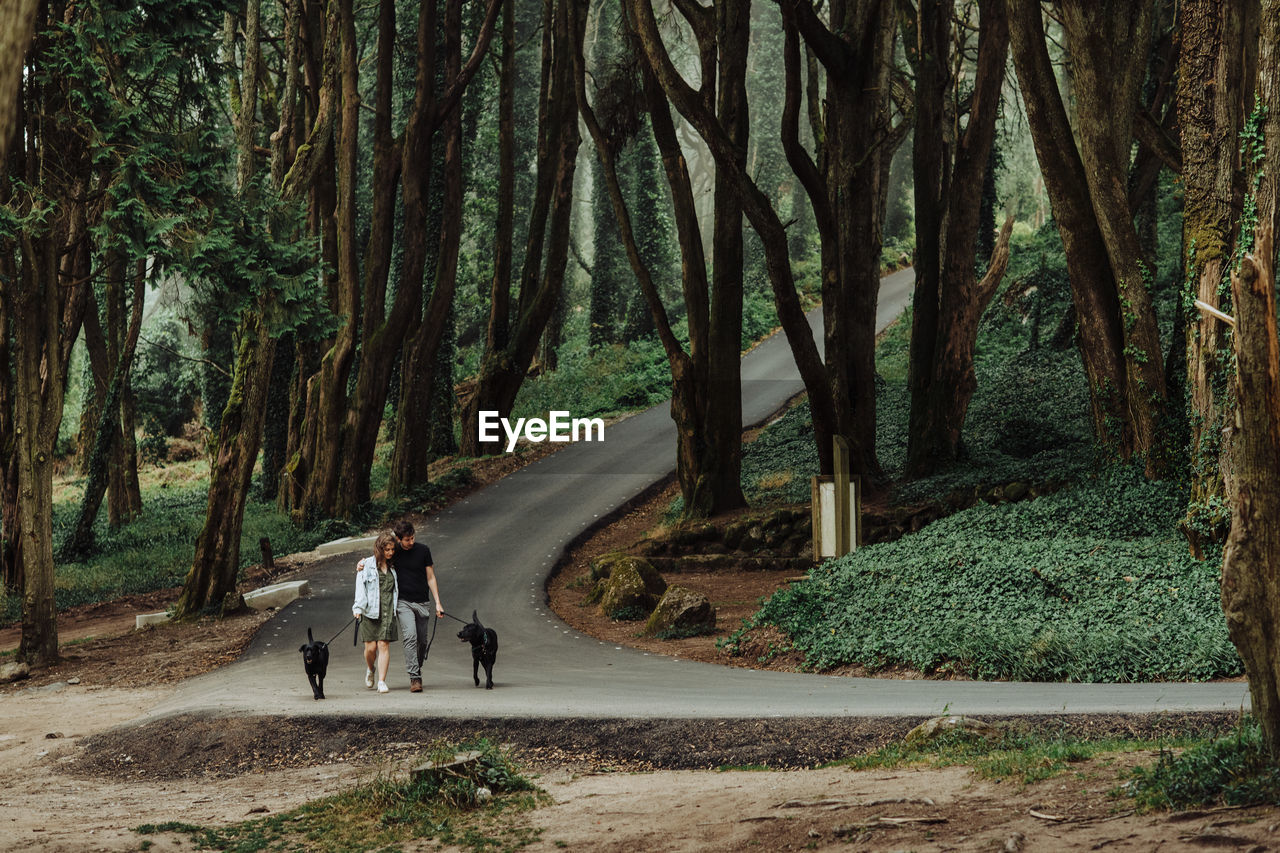 Couple walking dogs on a leash down a road in the forest, wide angle